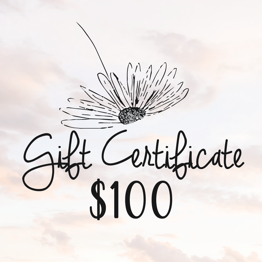 $100 Daydreams Esthetics Spa Gift Certificate
