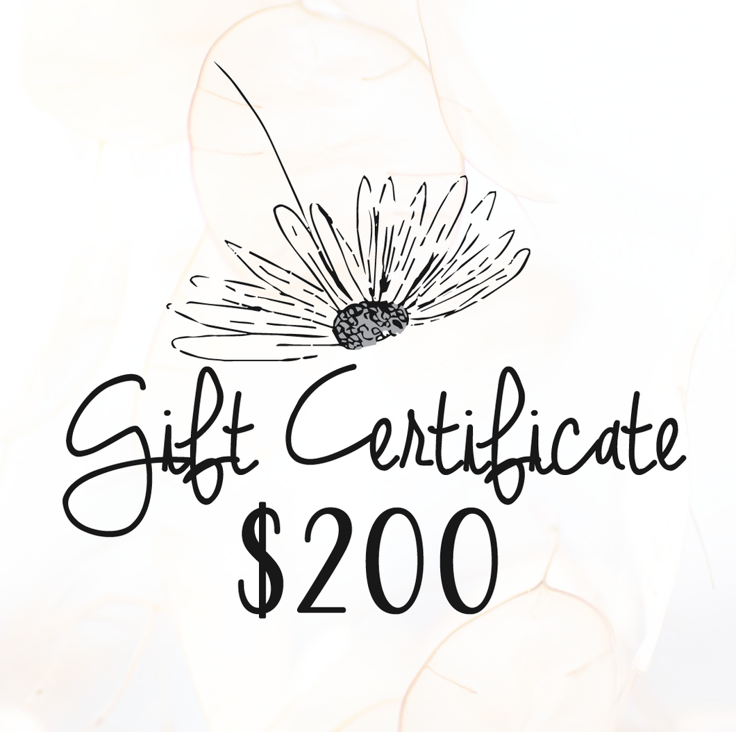 $200 Daydreams Esthetics Spa Gift Certificate