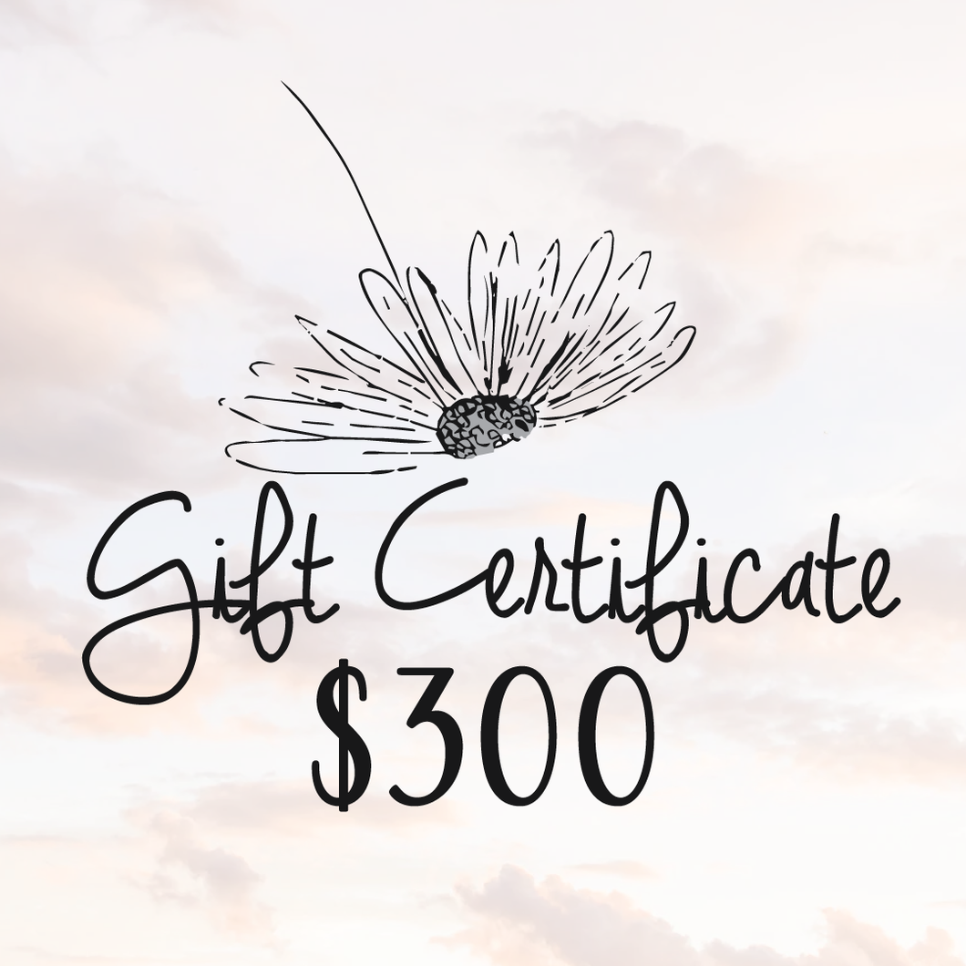 $300 Daydreams Esthetics Spa Gift Certificate