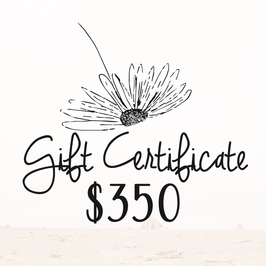 $350 Daydreams Esthetics Spa Gift Certificate